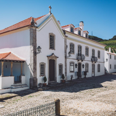 聖塞巴斯蒂安憤怒鴨臻藏紅葡萄酒：探索里斯本葡萄酒的馥郁風味與細膩層次001
