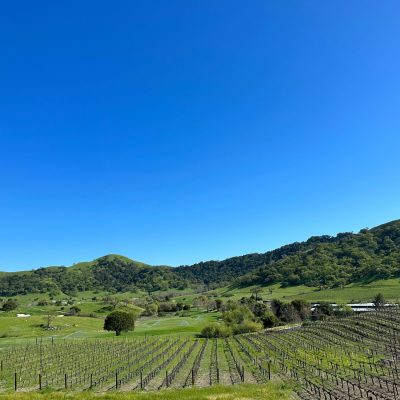 酒典漫談_葡萄酒產區_智利中央山谷產區：海洋與山脈交匯的葡萄酒寶地001