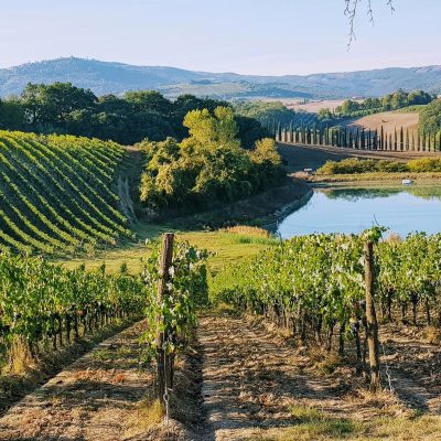 酒典漫談_葡萄酒產區_西班牙里奧哈產區：在傳統與現代的交織中品嚐西班牙風味001