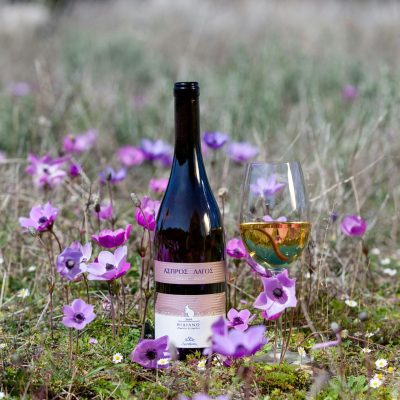 酒典漫談_釀造工藝_釀酒過程中的微生物作用：酵母與野生菌的角色001