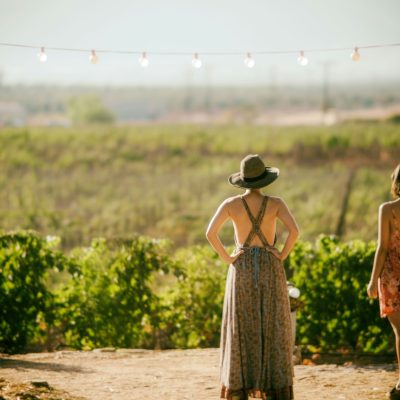 酒款百科_黑皮諾之旅：細緻優雅的葡萄王者001